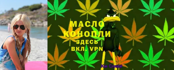 шишки Белоозёрский