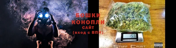 крисы Белокуриха