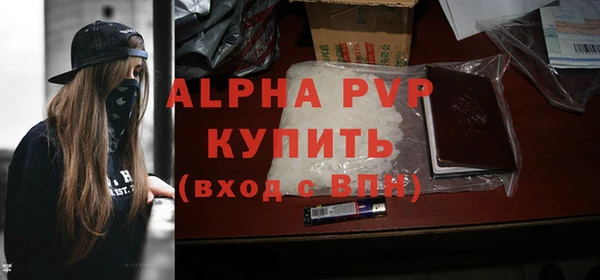 шишки Белоозёрский