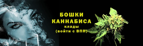 шишки Белоозёрский
