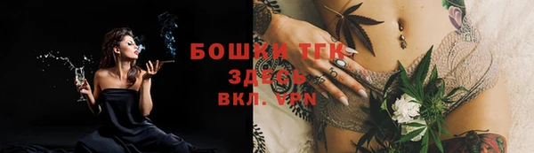 шишки Белоозёрский