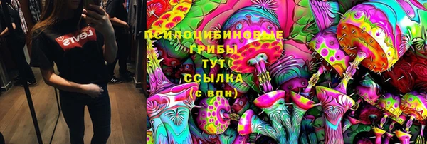 крисы Белокуриха