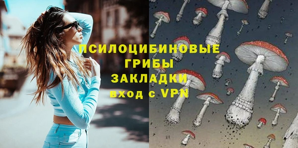 крисы Белокуриха