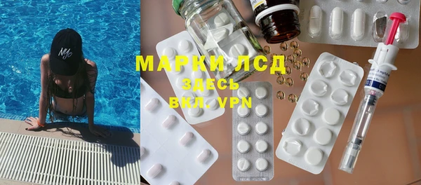 шишки Белоозёрский