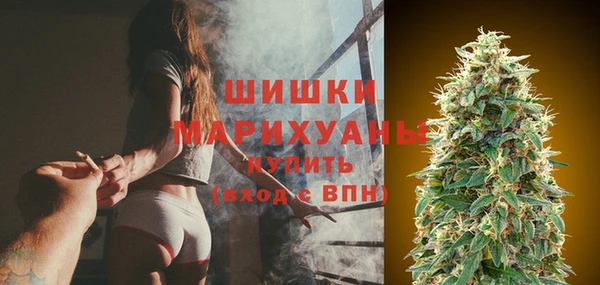 крисы Белокуриха
