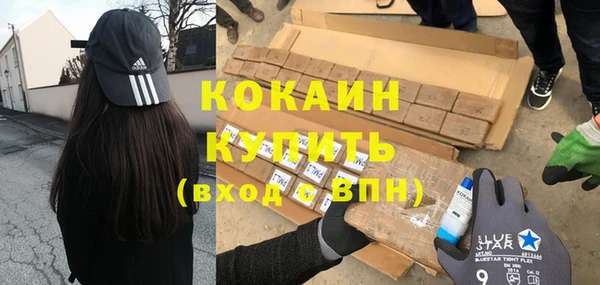 шишки Белоозёрский