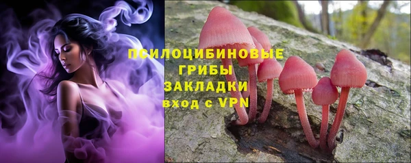 крисы Белокуриха