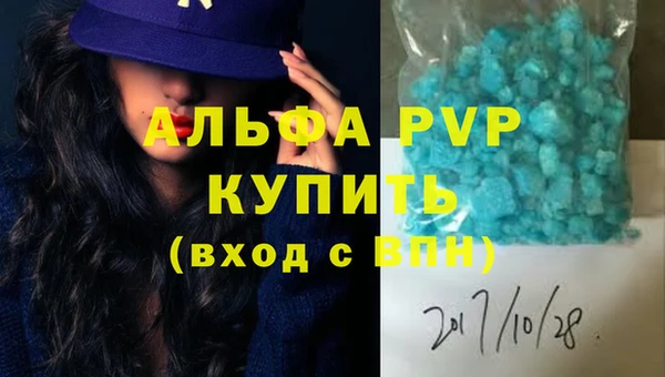 шишки Белоозёрский