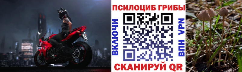 Галлюциногенные грибы прущие грибы Кувандык