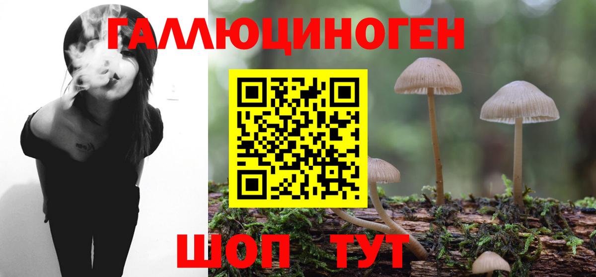 Галлюциногенные грибы Magic Shrooms  Вход с VPN  Галлюциногенные грибы Psilocybe  Кувандык 